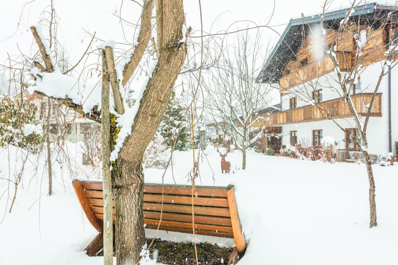 ヴェルフェンヴェンクHaus Alexandraアパートメント エクステリア 写真